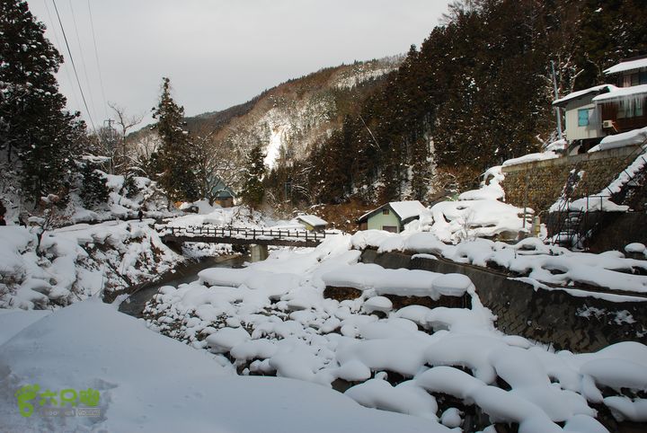长野、轻井泽、野泽、白马滑雪之旅DSC_0814