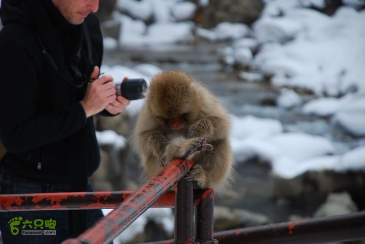 长野、轻井泽、野泽、白马滑雪之旅DSC_0841