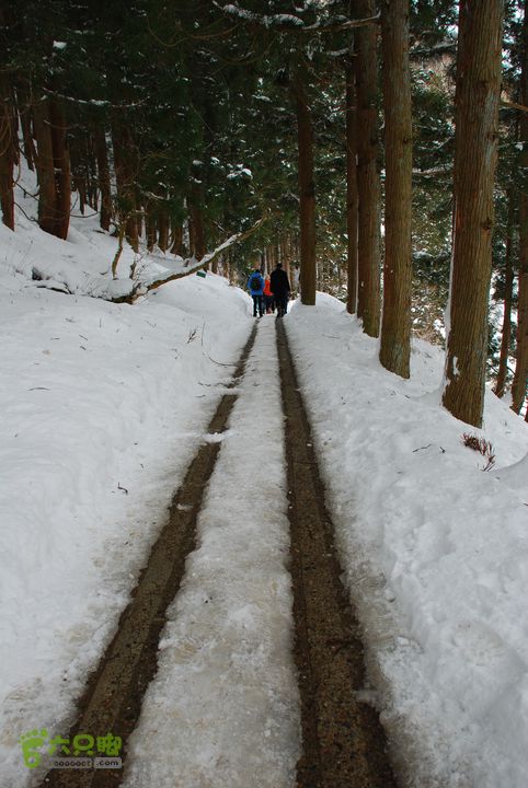 长野、轻井泽、野泽、白马滑雪之旅DSC_0955