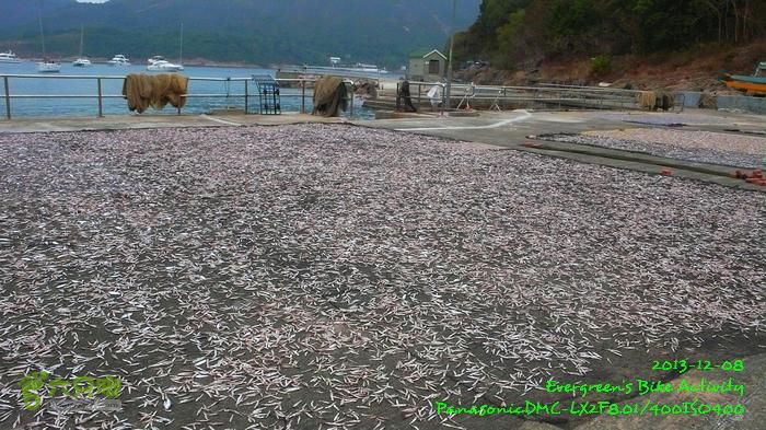 2013 12 08 黃毛應、北潭涌、糧船灣、破邊洲P1590620