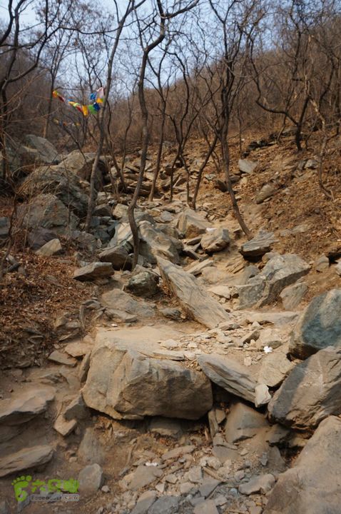 140309 再走西北旺 八大处3914 好汉坡