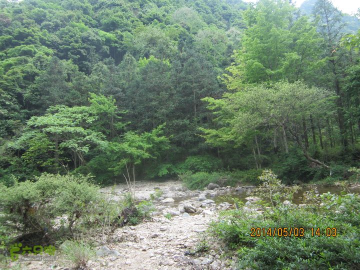 楠溪江源头大环线（上井-楠溪江源头-余坑）IMG_0803
