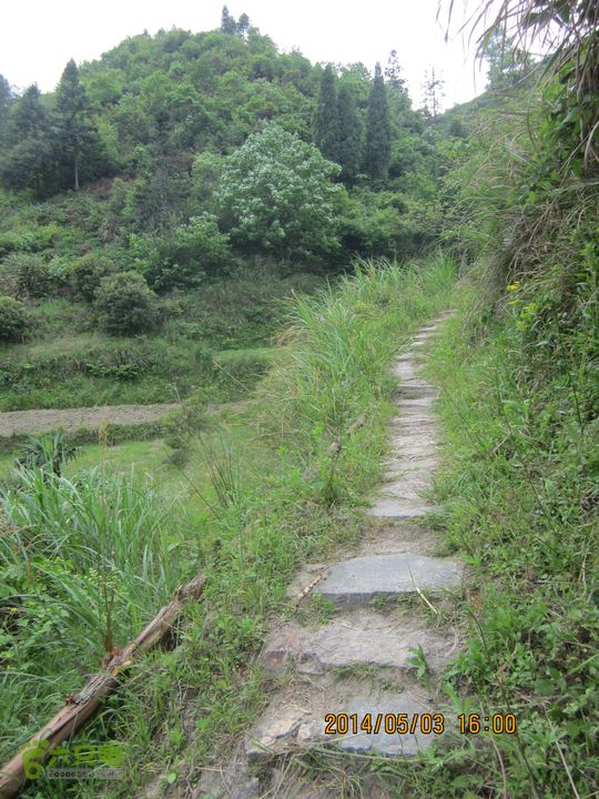 楠溪江源头大环线（上井-楠溪江源头-余坑）IMG_0828