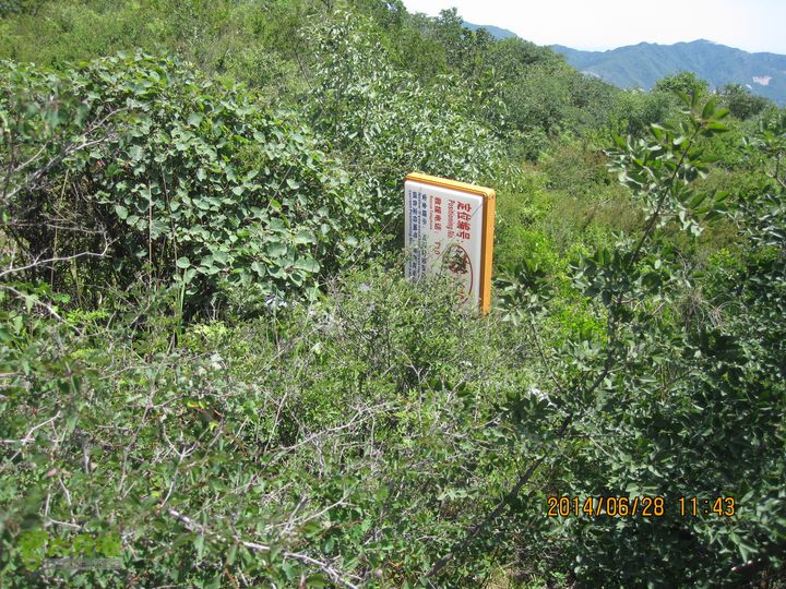 20140628灰地-小店子-铁陀山-峰口庵-圈门IMG_4898