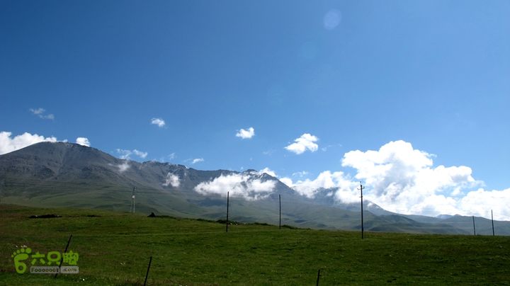 2014.8.8-8.16陕甘宁青自驾IMG_8592
