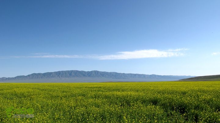 2014.8.8-8.16陕甘宁青自驾IMG_8837