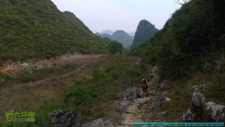 20150208-暗嵅-黎家-虾嵅-潜经-竹江-(户外情缘)P1030765
