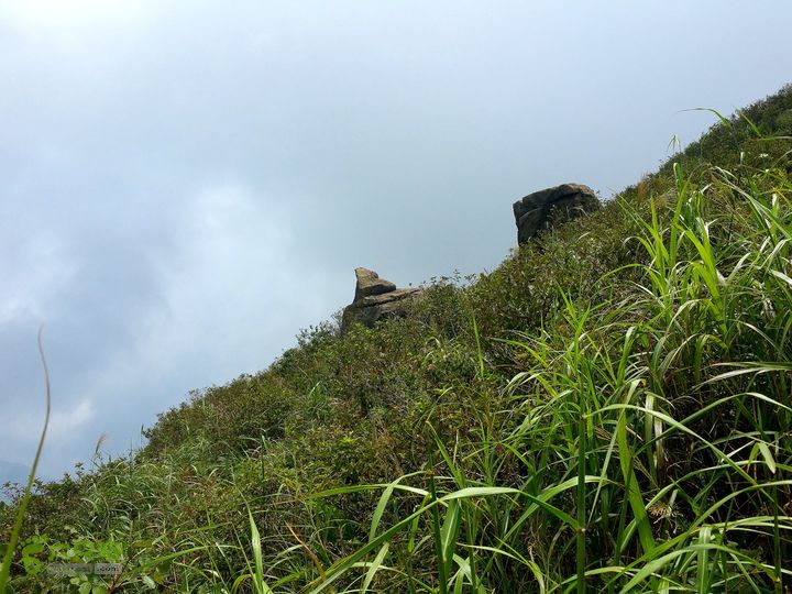20150815东白山最经典环线2015-08-15046