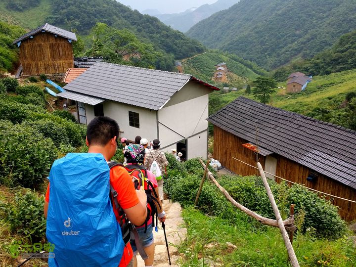 20150815东白山最经典环线龙门山庄原来是个茶厂。