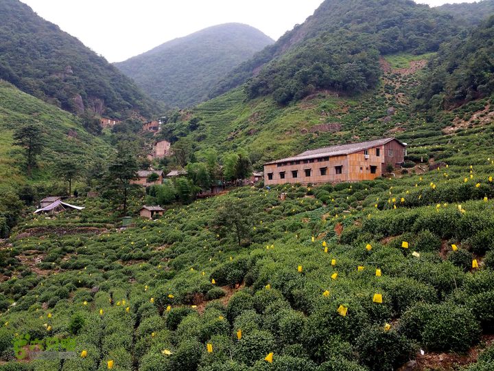 20150815东白山最经典环线龙门山庄远景