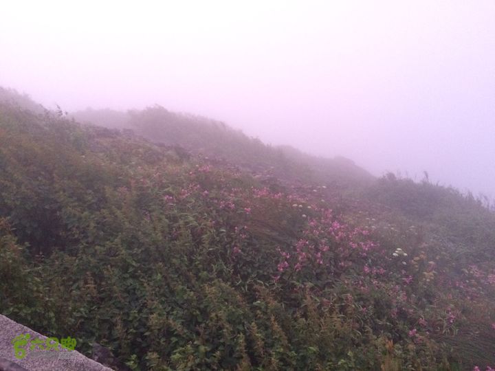 坪溪林道上广东第一峰石坑崆IMG_4715