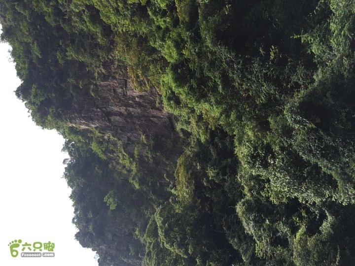 坪溪林道上广东第一峰石坑崆IMG_4743