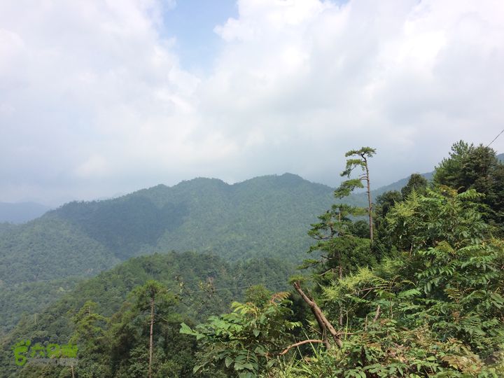 坪溪林道上广东第一峰石坑崆IMG_4750