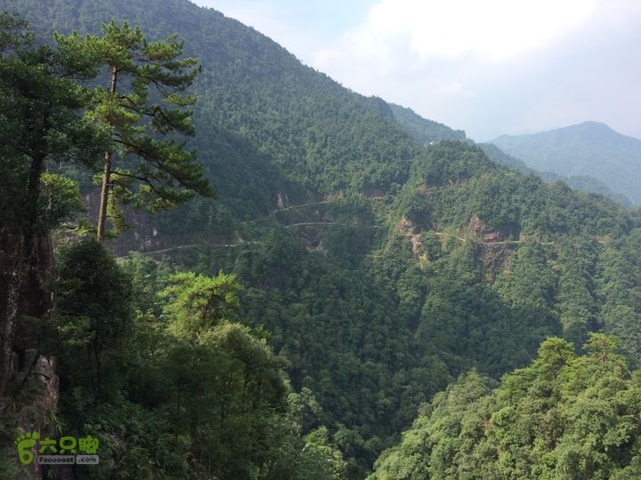 坪溪林道上广东第一峰石坑崆IMG_4751