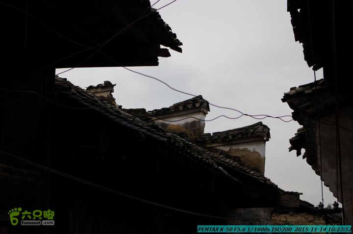 20151114-大圩熊村IMGP0256