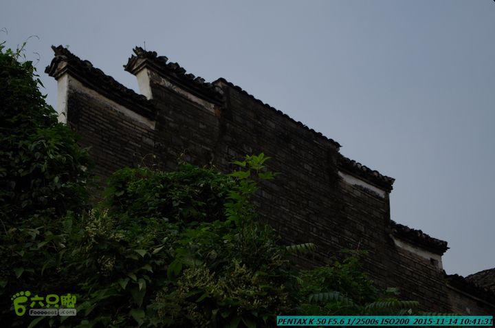 20151114-大圩熊村IMGP0270